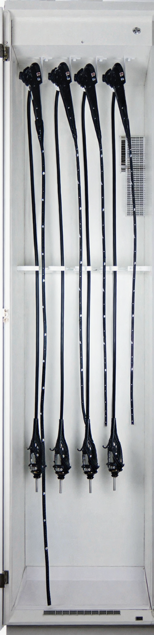 Tall plant stems with white flowers against a white wall.