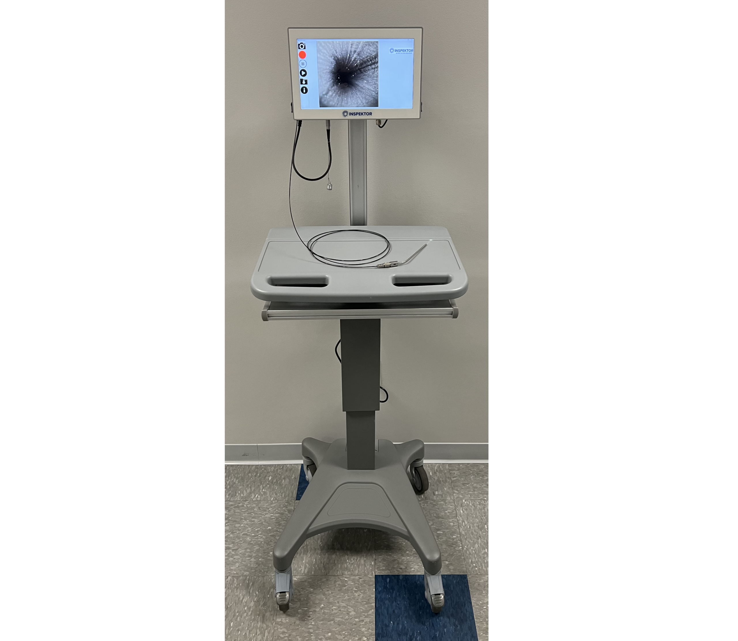 Medical endoscope display on mobile cart